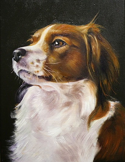 Timo